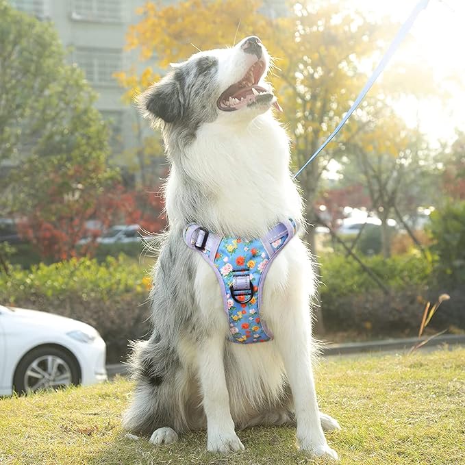 Timos No Pull Dog Harness, Release at Neck Reflective 3 Snap Buckles Adjustable No Choke Pet Vest with Front & Back 2 Leash Clips, Soft Padded Control Training Handle for Small Medium Large Dogs