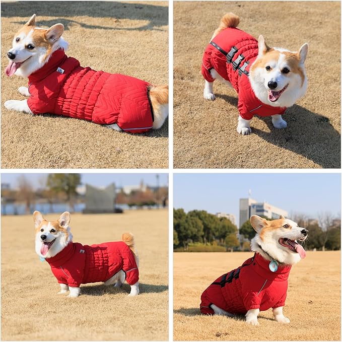 Lovelonglong Warm Coat Double Layers Vest, 4 Legs Covered Windproof Waterproof Reflective Outdoor Skating Costume for Corgis Dachshund Red D-M