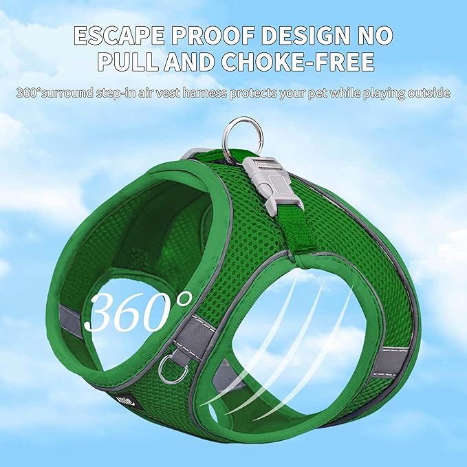 AIITLE Small Harness for Puppy with A Leash - Spring Dog Vest Harness with Super Breathable Mesh, Reflective No-Pull Pet Harness for Outdoor Walking, Camping for Small Dogs, Cats Green XXS