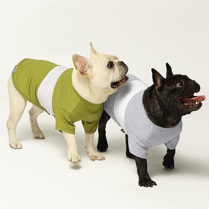 Fitwarm 3 Pack Color Block Striped Dog Shirt, Summer Dog Clothes for Small Dogs, Breathable Lightweight Pet Tshirt with Sleeves, Cat Outfit, Oliver Green, Grey, Black, XXL