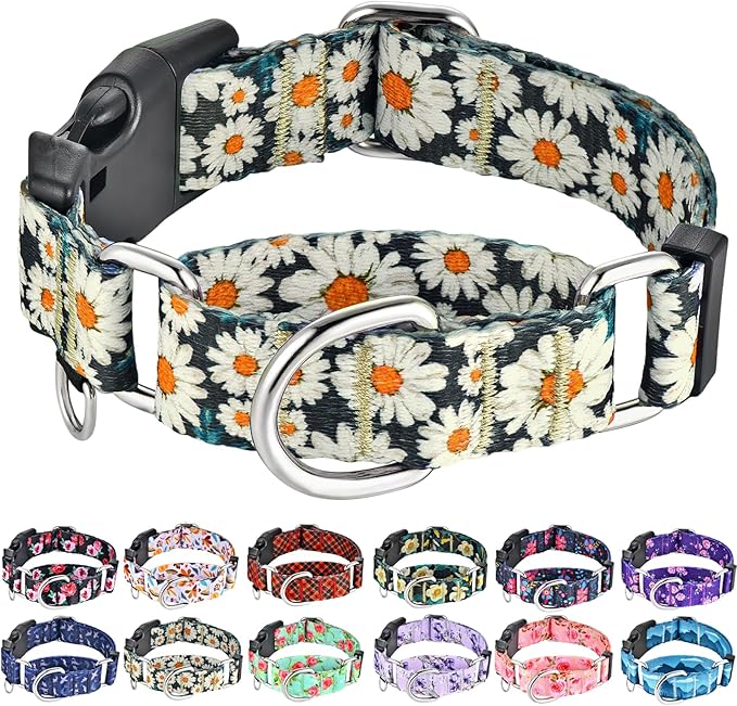 Quick Release Dog Collar Martingale Adjustable Nylon Soft Flower Dog Collars with Buckle (Daisy,XLarge)