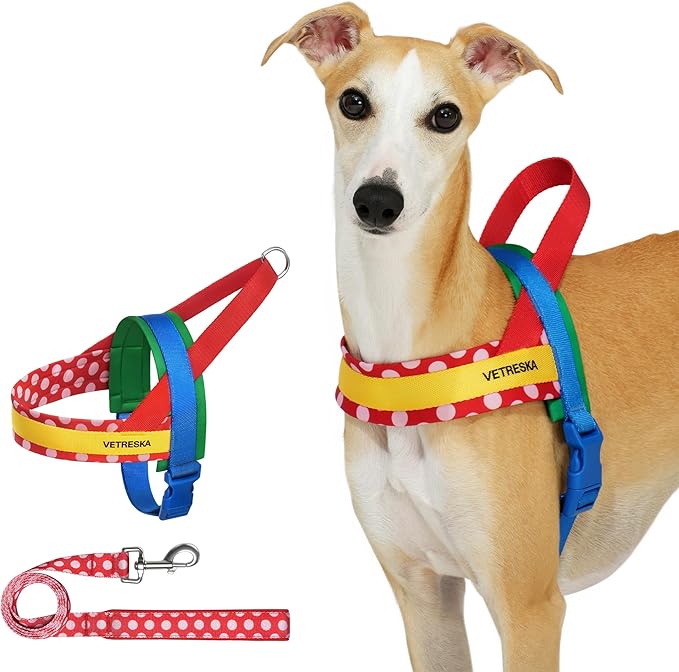 VETRESKA MoMA Dog Harness for Medium Large Dogs, Easy Walk Dog Harness and Leash Set, No Pull Dog Vest Harness for Walking and Training, Adjustable, Take Control & Anti-Twist Pet Lead Combo (Red, M)