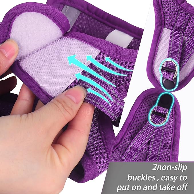 Dog Harness for Small Dogs Harness and Leash Set, Honeycomb Grid, Reflective Lightweight Harness & Anti-Twist Pet Lead (Multi Color, Size: XS-S-M) (M, Purple)