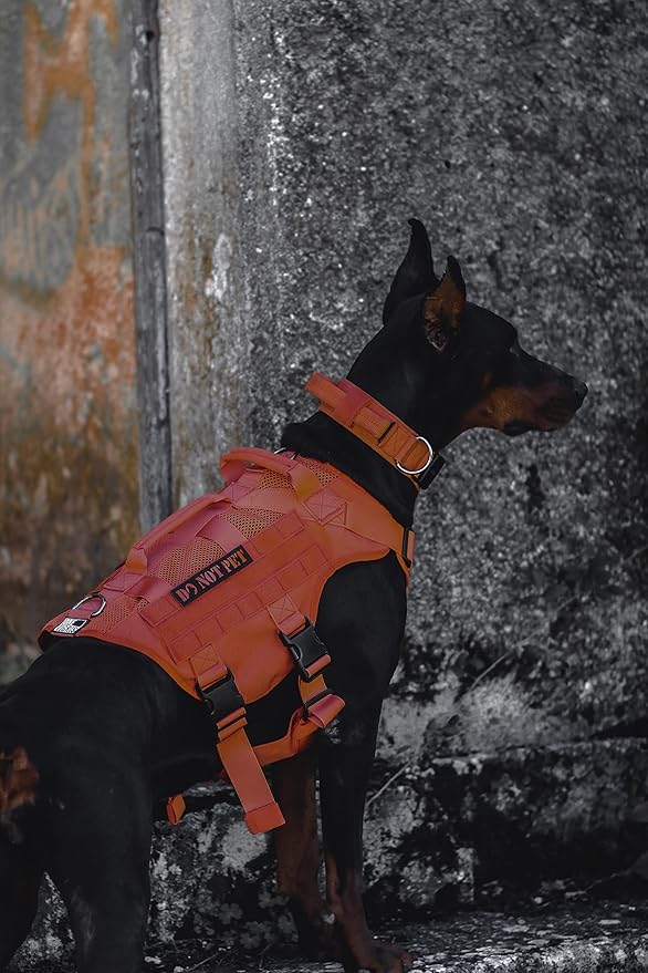 OneTigris Mesh Design Tactical No Pull Dog Harness for Large Dog, Breathable Service Dog Vest Harness with Handle, Military Dog Harness with Molle Panels for Walking Hiking Training (Orange, X-Large)
