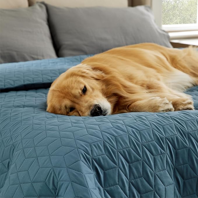 Bedsure 100% Waterproof Couch Cover for Dogs Washable - Non Slip Waterproof Dog Blanket for Couch Sofa, Lightweight Furniture Protector Durable for Pet Cat Puppy with Non-Slip Bottom, Blue, 40x50IN
