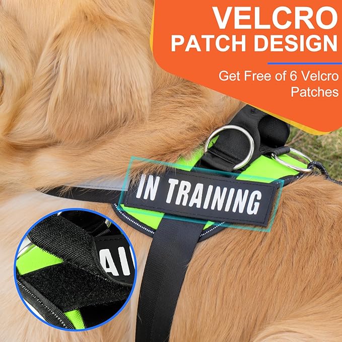 Essential Dog Harness, No Pull Pet Harness with 3 Side Rings for Leash Placement, No Choke, Reflective, Adjustable Pet Vest, Easy On-Off & Improved Control Handle, Training, Walking, Running