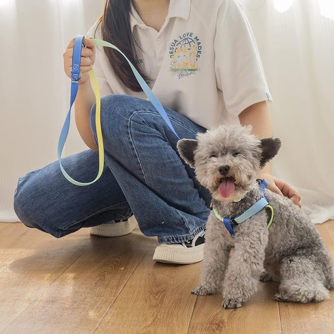 AIITLE No Pull Dog Harness & Leash & Collar - Adjustable Basic Collar with A Heavy Duty Leash - Super Sturdy Buckle and D Ring - Training Running for Large Dogs, Blue Gradient L