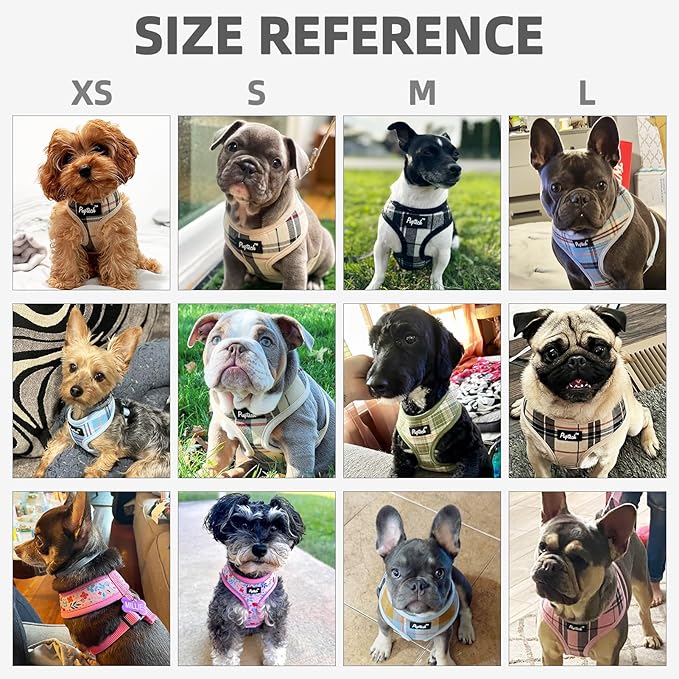 PUPTECK Soft Mesh Dog Harness and Leash Set Pet Puppy Cat Comfort Padded Vest No Pull Harnesses, Beige, XL