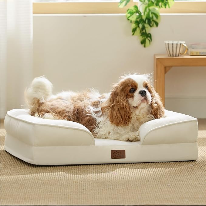 Bedsure Orthopedic Dog Bed for Medium Dogs - Waterproof Dog Sofa Beds Medium, Supportive Foam Pet Couch Bed with Removable Washable Cover, Waterproof Lining and Nonskid Bottom, Ivory