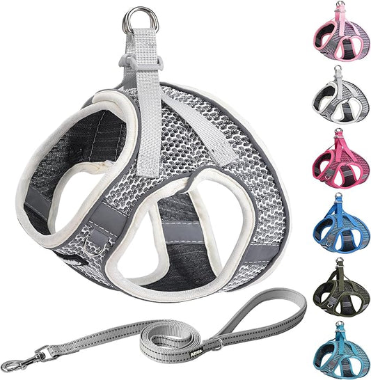 AIITLE Dog Harness with Leash Set - All Weather Breathable Mesh, Reflective Stripes, Adjustable Escape Proof Pet Outdoor Harnesses for Medium Dogs Beige M