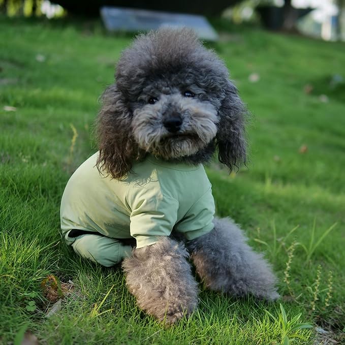 LoveLongLong Dog Jumpsuit with UV Protection and Quick-Dry Fabric for Spring Summer Pet Pajamas Light Green XL