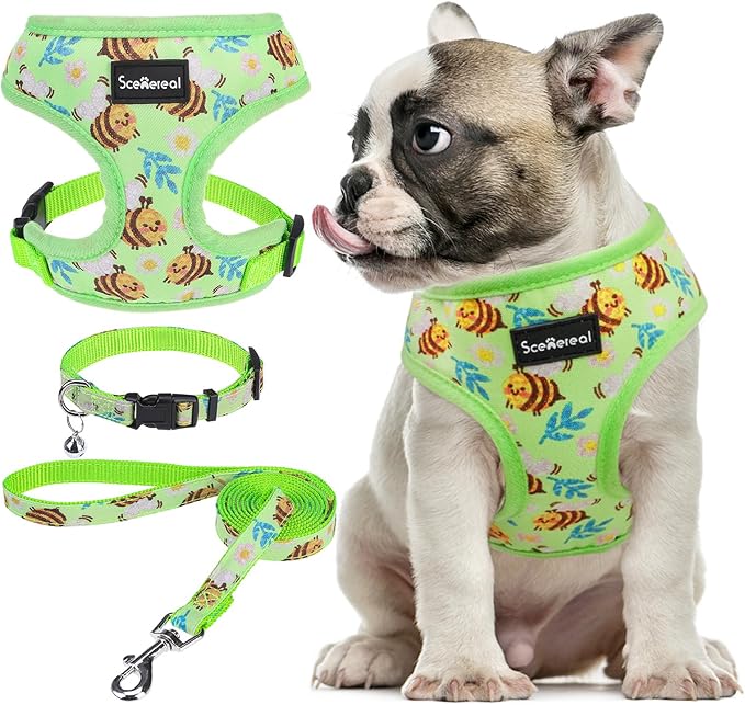 SCENEREAL Small Dog Harness and Leash Collar Set - No Pull Dog Harness for Small & Medium Sized Dogs - Soft Mesh Vest for Puppies, Chihuahua, Yorkie, Spring Summer Hiking Walking, Green Bee M