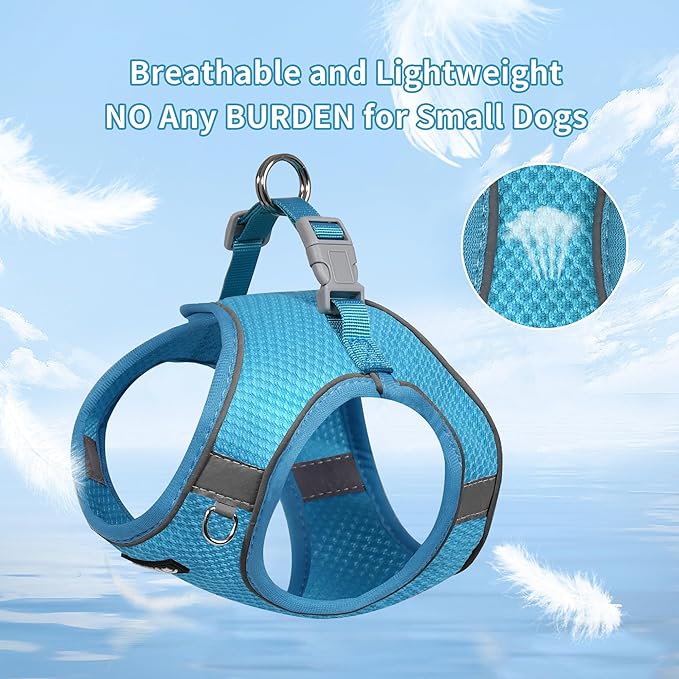 AIITLE No Pull Dog Harness and Leash Set, Step in Adjustable Dog Harness with Padded Vest for All Weather, Reflective Pet Harness, Easy to Put on Small Dogs Blue S