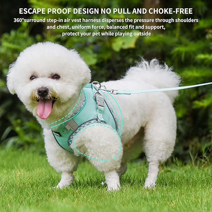 AIITLE XXS Dog Harness & Leash Set - Breathable Reflective No-Choke Small Dog Harness for Teacup Puppies, Indoor/Outdoor Use - Boston Terrier, Maltese, Chihuahua (Turquoise, XXS)