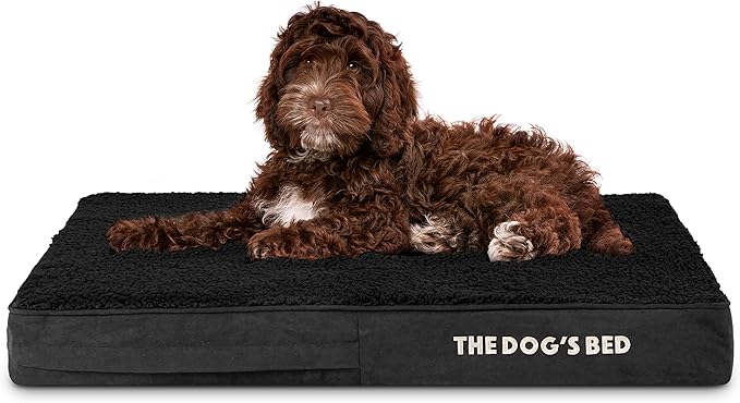 The Dog’s Bed Orthopedic Memory Foam Dog Bed, Medium Black Plush 34x22, Pain Relief for Arthritis, Hip & Elbow Dysplasia, Post Surgery, Lameness, Supportive, Calming, Waterproof Washable Cover