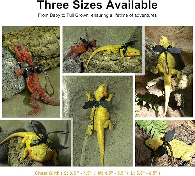 Bearded Dragon Harness and Leash Set, Adjustable Harness Soft Leather-3 Sizes (S, M, L) with Black Wing, Upgrade Lizard Reptile Leash for Bearded Dragon, Lizard, Iguana or Gecko