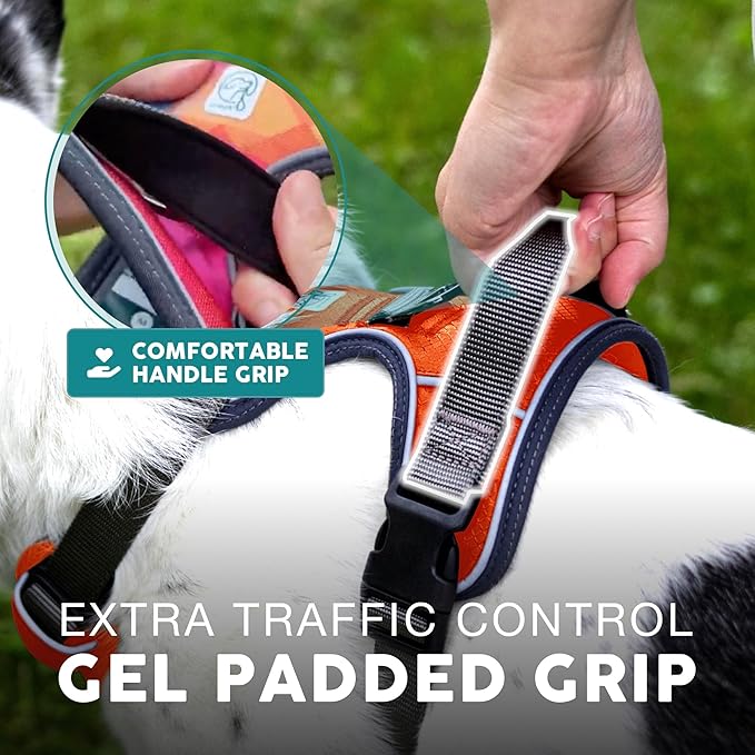 Embark Adventure Dog Harness, Reflective Trim XL Dog Harness for Extra Large Dogs No Pull - Military Grade Nylon, 2 Leash Clips & Gel Lined Handle. Soft & Padded Puppy Harnesses for Any Breed