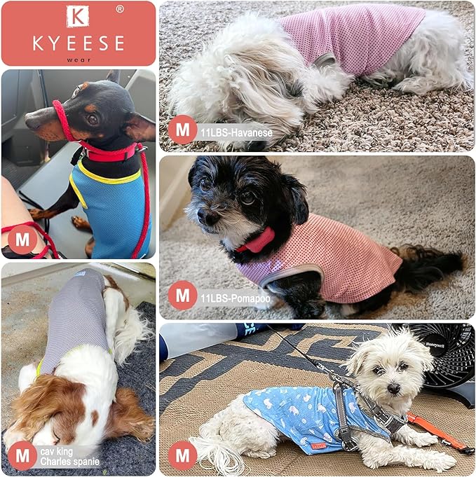 KYEESE 2 Pack Dog Cooling Shirts - Breathable Instant Cooling Vests, Lightweight for Summer Dog Apparel, Blue+Grey, Medium