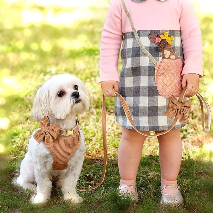 Didog Cute Small Dog Harness Collar & Leash Set, Adjustable Dog Collars and Leashes with Bowtie, Breathable Soft Mesh Padded Dog Vest for Puppies Small Dogs Walking, Brown, M