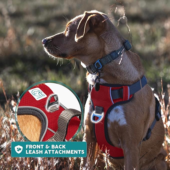 Embark Adventure Dog Harness, Reflective Trim No Pull Dog Harness Medium Sized Dogs - Military Grade Nylon, Front Clip with Gel Lined Handle.