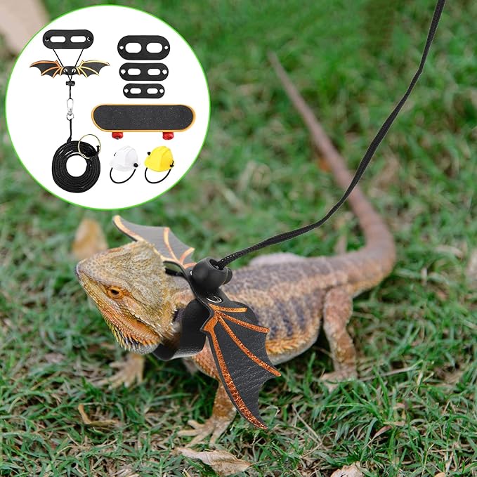 Chivao 5 Pieces Bearded Dragon Accessories Toy Set Bearded Dragon Leashes and Harnesses S/M/L 3 Size Packed Lizard Harness Mini Scooter Lizard Helmet Hats Adjustable Leash(Black)