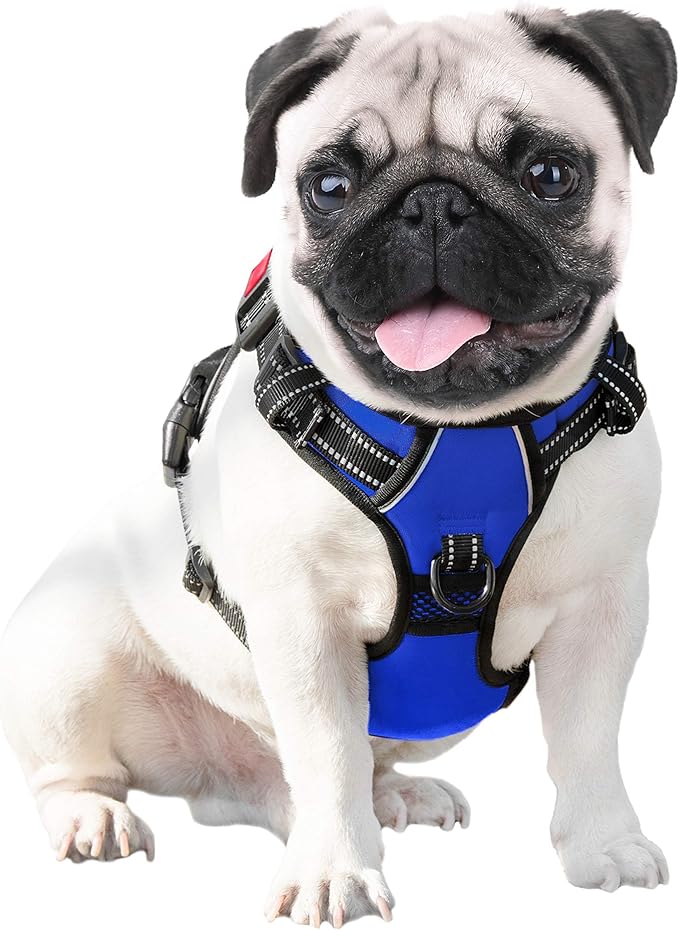 PHOEPET No Pull Dog Harness Medium Reflective Front Clip Vest with Handle,Adjustable 2 Metal Rings 3 Buckles,[Easy to Put on & Take Off](XS, Royal Blue)