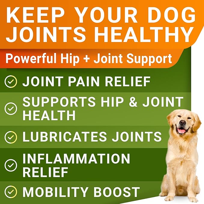 Glucosamine for Large Dogs - Joint Supplement Large Breed w/ Omega-3 Fish Oil - Chondroitin, MSM - Advanced Mobility Chews - Joint Pain Relief - Hip & Joint Care - Chicken Flavor - 360Ct - Made in USA