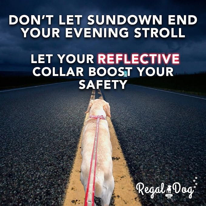 Regal Dog Products Large Lime Green Reflective Dog Collar and Leash Set - Waterproof Biothane Dog Collar with Heavy Duty Double Buckle, D Ring & 5ft Leash - Other Size for Medium & Large Dogs