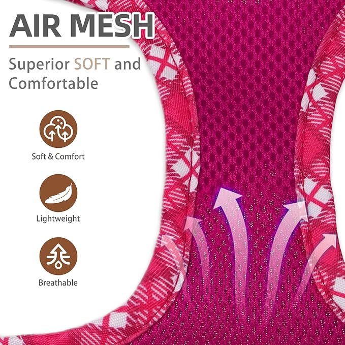 PUPTECK Dog Harness and Leash Set for Small Medium Dogs No Pull Step-in Soft Mesh Puppy Cat Vest Harnesses Reflective at Night, Fuchsia, M