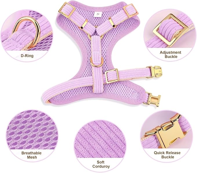 Didog Cute Small Dog Harness Collar & Leash Set, Adjustable Dog Collars and Leashes with Bowtie, Breathable Soft Mesh Padded Dog Vest for Puppies Small Dogs Walking, Purple, S