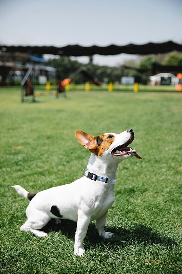 Dog Collar, Cute Stripe Pattern, Soft and Adjustable Collar with Quick Release Buckle (S (Neck 11-18", Width 5/8"), Stripe Blue)