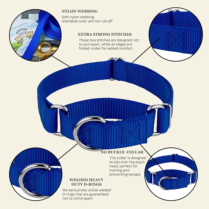 Country Brook Petz Martingale Dog Collar - Heavy-Duty Training Collar with No Buckle - Service Dog Collar for All Pups - Vibrant, Colorful Collection (Royal Blue, 1 Inch, Large)