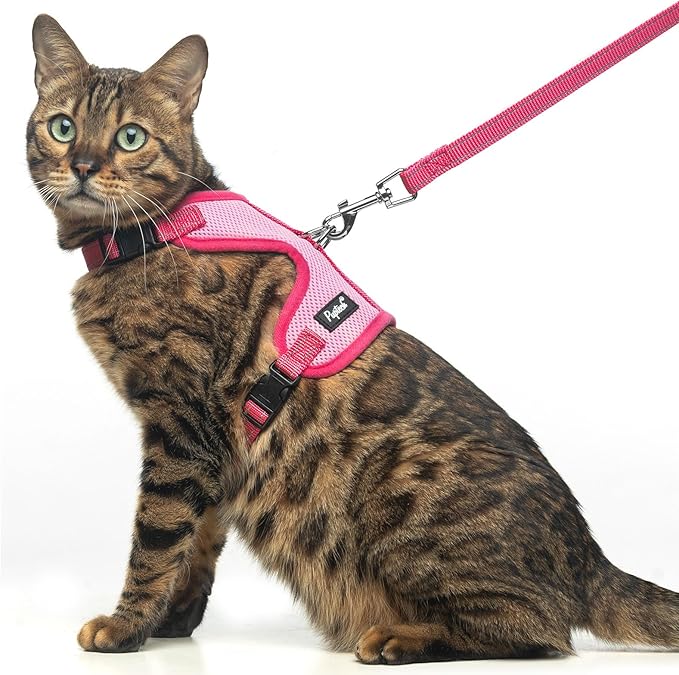 PUPTECK Cat Harness and Leash Set Escape Proof, Reflective Adjustable Soft Mesh Kitten Vest Harness for Walking Travel, Pink, S