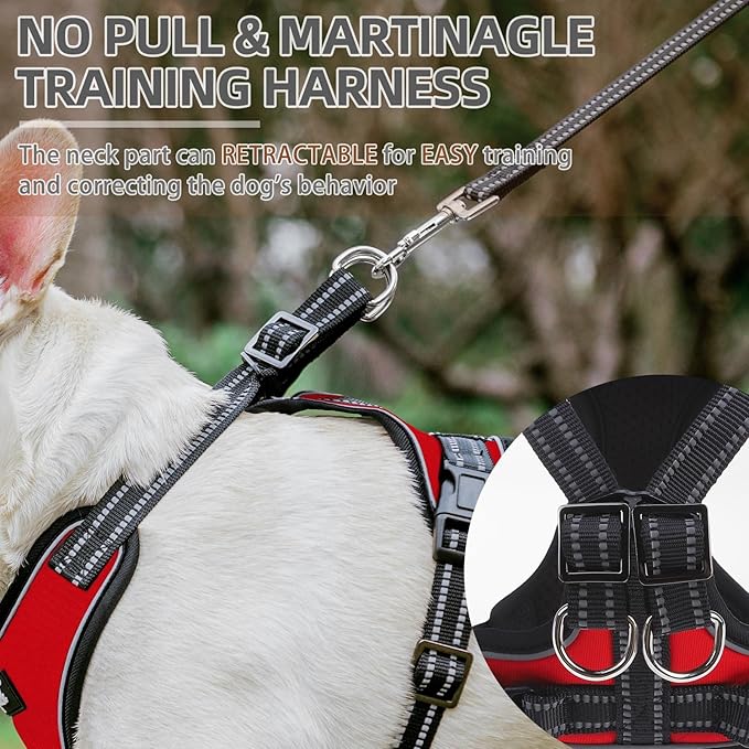 PUPTECK Dog Harness and Leash Set for Small Medium Sized Dogs, No Pull Dog Harness for Walking Training, Adjustable Reflective Puppy French Bulldog Frenchie Harness Soft Padded Vest, Red, S