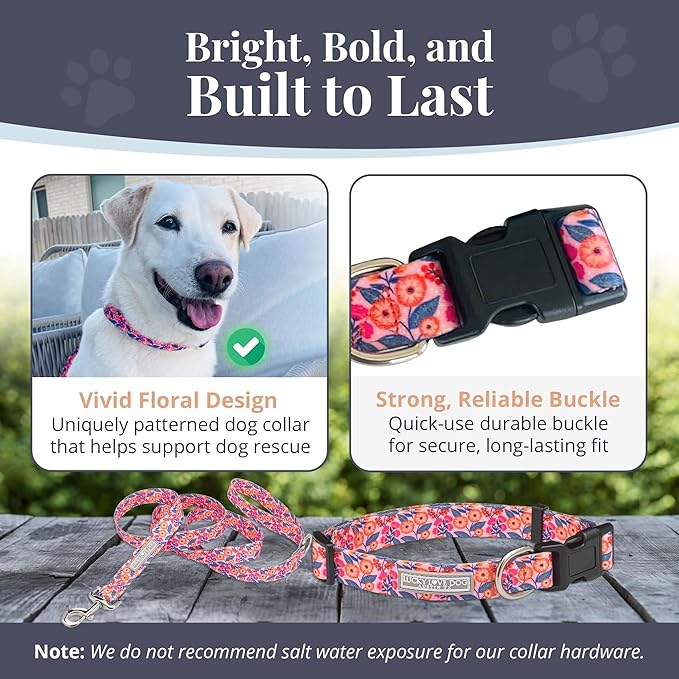 Lucky Love Dog - Easy Click Buckle Dog Collar with Leash Set Combo, Durable & Comfortable for Male & Female Dogs, Pet Collar for Small to Large Dogs, Secure Fit - Floral Rosie Combo, Medium