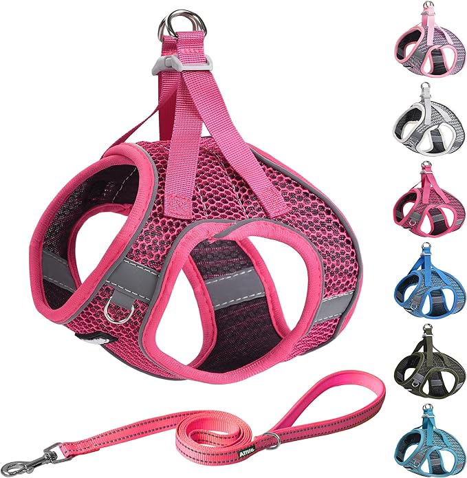 AIITLE Puppy Harness - Lightweight Air Mesh - Step-in Harness with Leash - No Pull, No Choke Padded Vest - Reflective for Small Dogs, Cats - Hot Pink XXS