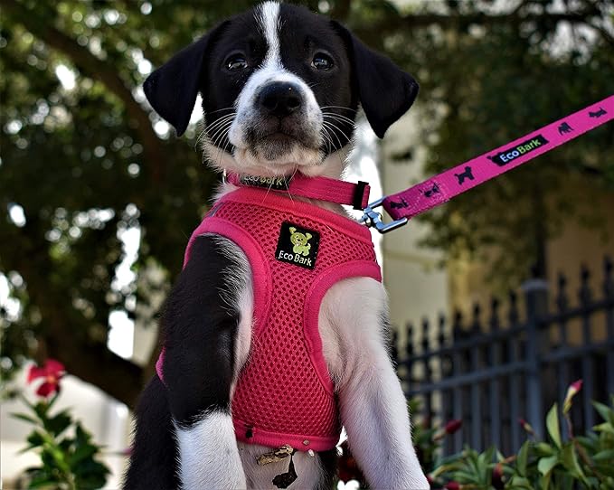 EcoBark Step in Dog Harness - Eco-Bright Teacup Dog Harnesses for XXS, XS, and Small Dogs - Reflective and Adjustable Mini Body Halter Vest -Tiny Soft Mesh Toy Breed Harness (X-Small, Pink)