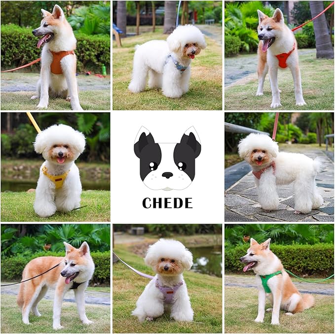 CHEDE No Pull Puppy Harness and Multifunction Dog Leash Set- 8 Colors Soft Adjustable No Choke Escape Proof Cute,Lightweight Pet Vest Harness for Small and Medium Dog (S, Blue)