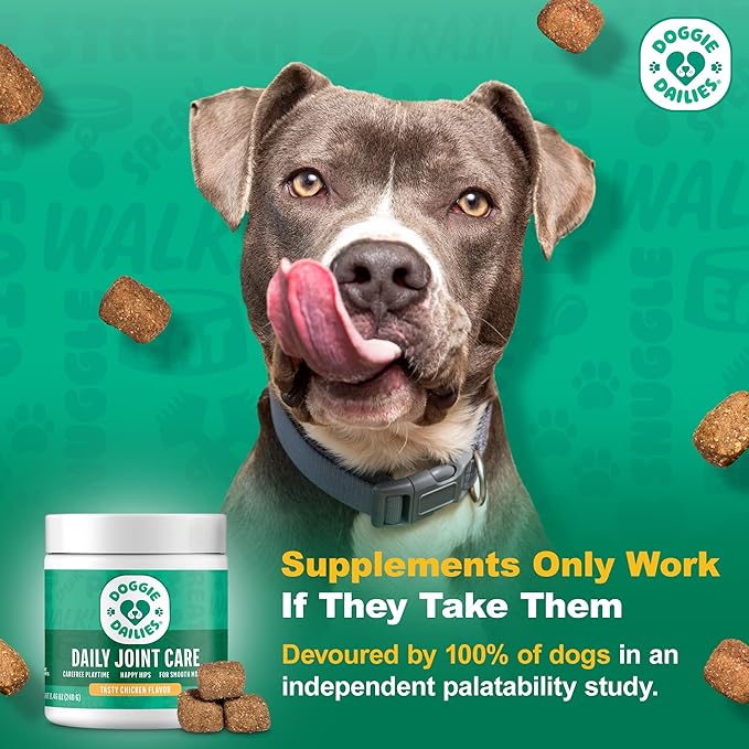 Doggie Dailies Glucosamine for Dogs - Joint Supplement for of All Breeds & Sizes - Hip and Joint Supplement - Premium Glucosamine and Chondroitin for Dogs (Chicken) 225 Chews