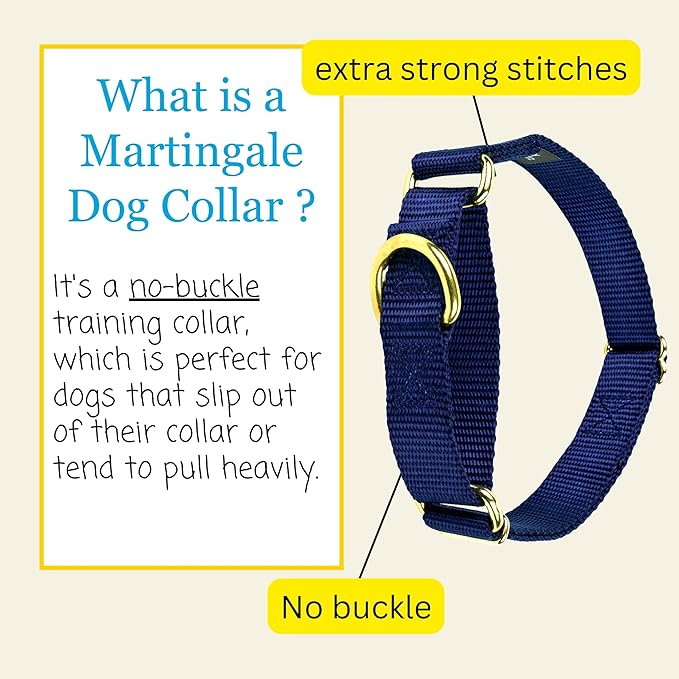 Country Brook Petz Martingale Dog Collar - Heavy-Duty Training Collar with No Buckle - Service Dog Collar for All Pups - Vibrant, Colorful Collection (Navy Blue, 3/4 Inch, Small)