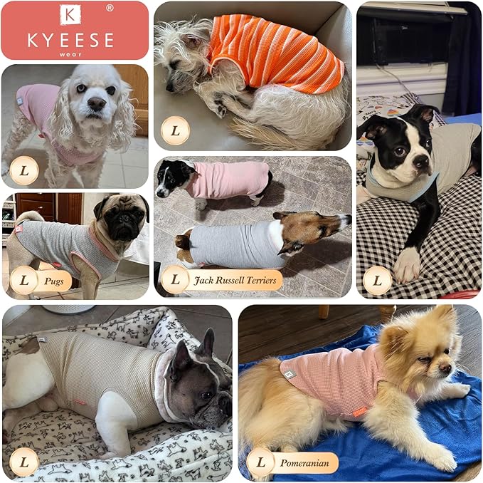 KYEESE 2Pack Dog Shirts Waffle for Small Dogs, Stretchy T-Shirts, Lightweight Tank Top, Sleeveless Vest, Breathable, Large, Purple + Grey