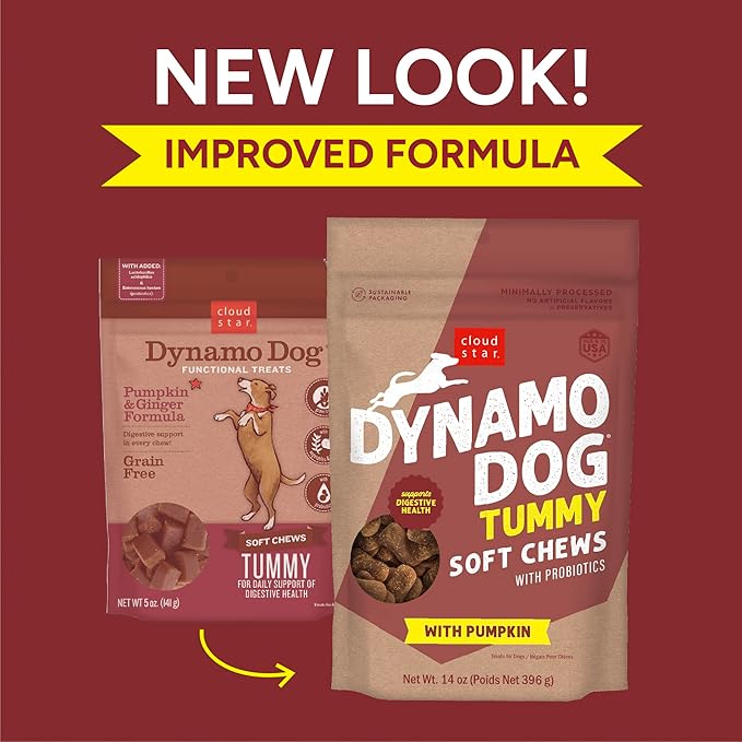 Cloud Star Dynamo Dog Tummy Treats – Soft & Chewy Probiotics Support for Dogs (14 oz. Pumpkin and Ginger) (20212)
