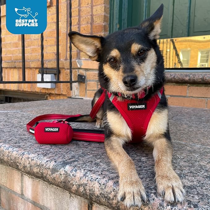 Voyager Step-in Air All Weather Mesh Harness and Reflective Dog 5 ft Leash Combo with Neoprene Handle, for Small, Medium and Large Breed Puppies by Best Pet Supplies - Army Base, XXS