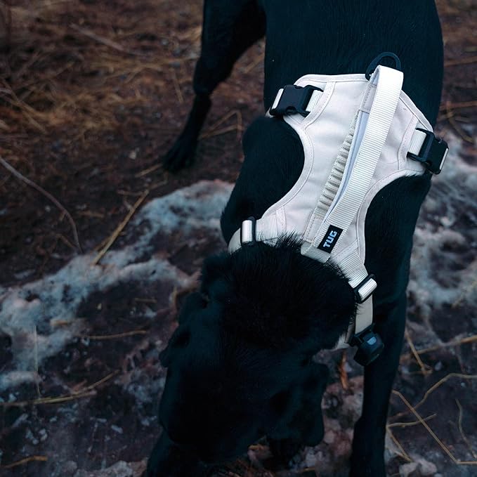 TUG Grab Dog Harness | Integrated Traffic Leash Magnetically Attached for Quick Control (XL/Cream)