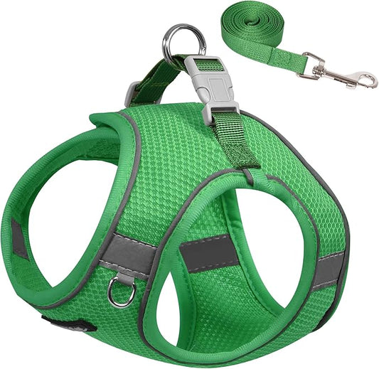 AIITLE No Pull Dog Harness and Leash Set, Step in Adjustable Dog Harness with Padded Vest for All Weather, Reflective Pet Harness, Easy to Put on Small Dogs Green S