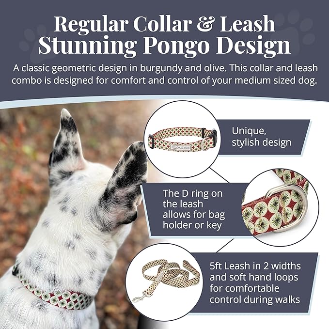 Lucky Love Dog - Easy Click Buckle Dog Collar with Leash Set Combo, Durable & Comfortable Collar for Male & Female Dogs, Pet Collar for Small to Large Dogs, Secure Fit - Pongo Combo, X-Small
