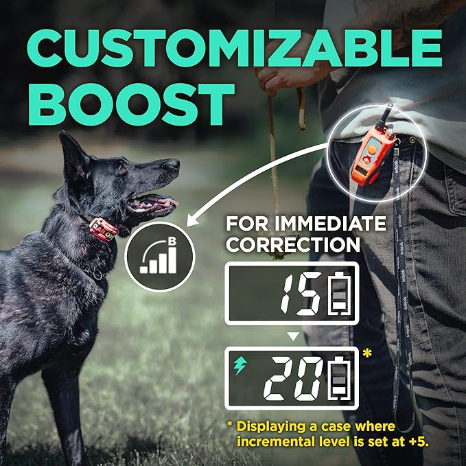 Dogtra E-Collar Tom Davis 280C Boost & Lock, Waterproof, 1/2-Mile Range Dog Training Collar with Remote, Rechargeable, 127 Levels, Vibration, Bungee, No Bad Dogs Trainer for Small, Medium, Large Dogs
