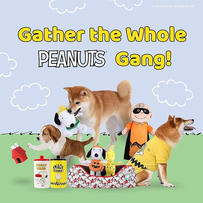 Peanuts 'Woodstock' Collegiate Dog Hoodie | Soft & Comfortable Dog Apparel, Small