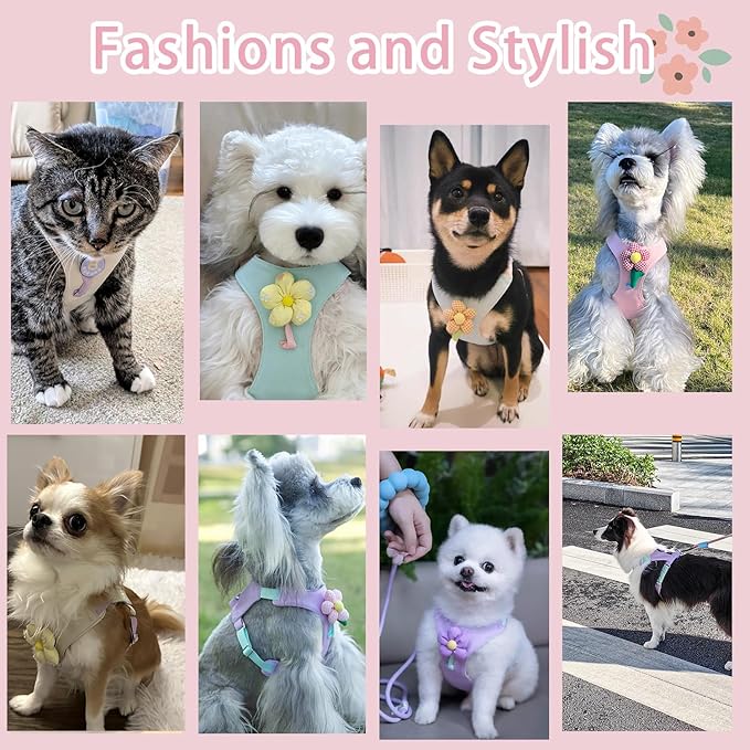 Cute Dog Harness and Leash Set with 2 Flower Patches, Step in Puppy Harness, No Chock Dog Vest for Small Medium Dogs Puppy and Cats (Pink, S)