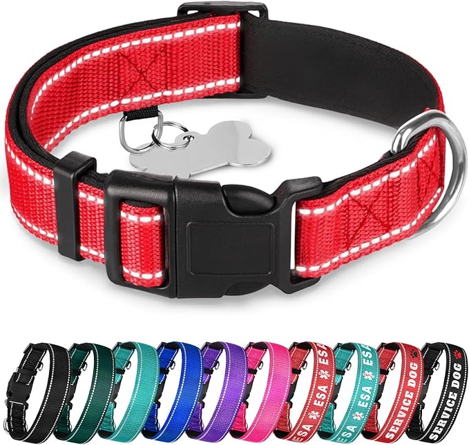 TECEUM Reflective Pet Collar – Red – XS – Extra Soft Padding – Basic Nylon Dog Collar – Quick Release Buckle – Fits Small, Medium and Large Dogs, Puppies, Cats – ESA & Service Dog Options